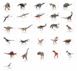 Magnesy na lodówkę na tekturze poznaję DINOZAURY 26 el. Tektura