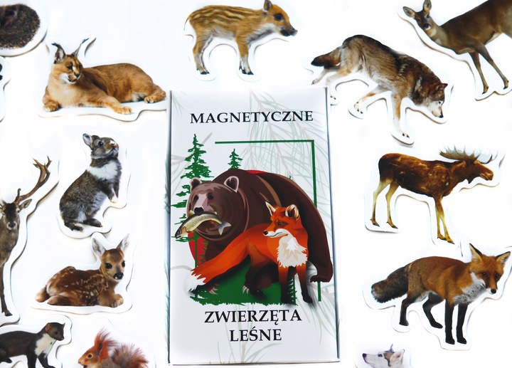 Magnesy na lodówę poznaję ZWIERZĘTA LEŚNE 28 el. Tektura