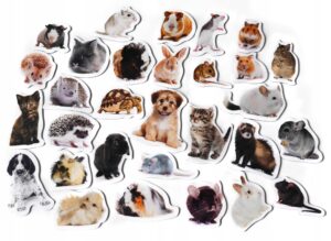 Magnesy na lodówkę poznaję ZWIERZĘTA DOMOWE 30 el. Płaskie