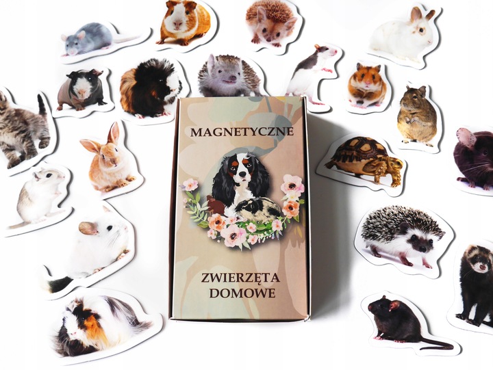 Magnesy na lodówkę poznaję ZWIERZĘTA DOMOWE 30 el. Płaskie