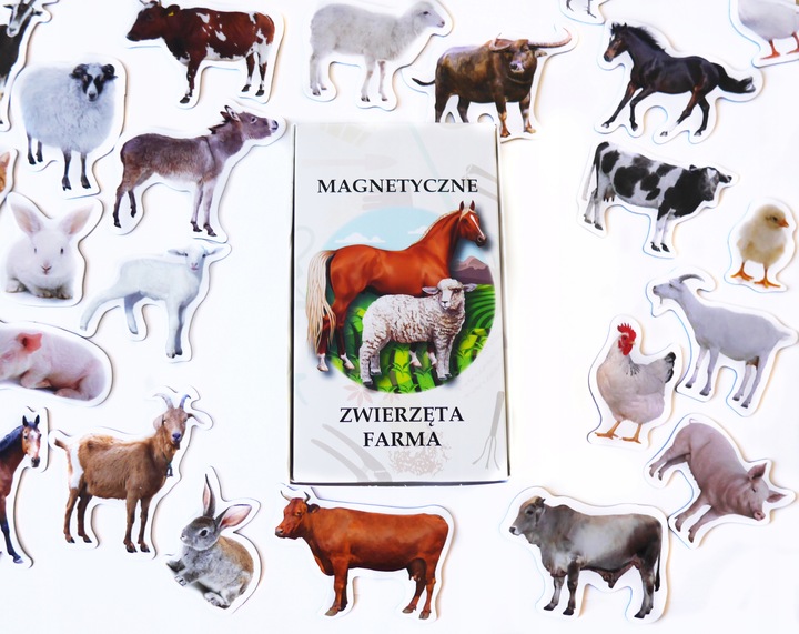 Magnesy na lodówkę poznaję ZWIERZĘTA FARMA 28 el. płaskie