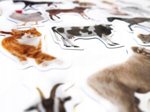 Magnesy na lodówkę poznaję ZWIERZĘTA LEŚNE 28 el. Płaskie