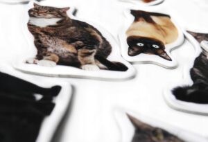 Magnesy na lodówkę poznaję RASY KOTÓW 30 el. Tektura