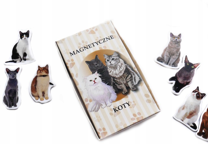 Magnesy na lodówkę poznaję RASY KOTÓW 30 el. Tektura