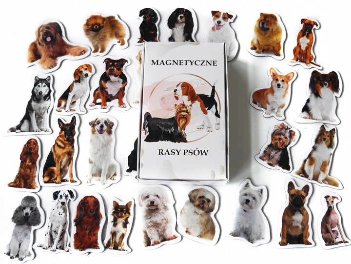 Magnesy na lodówkę poznaję  RASY PSÓW 30 el. Tektura