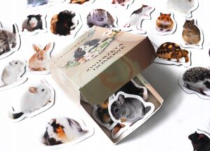 Magnesy na lodówkę poznaję ZWIERZĘTA DOMOWE 30 el. Tektura