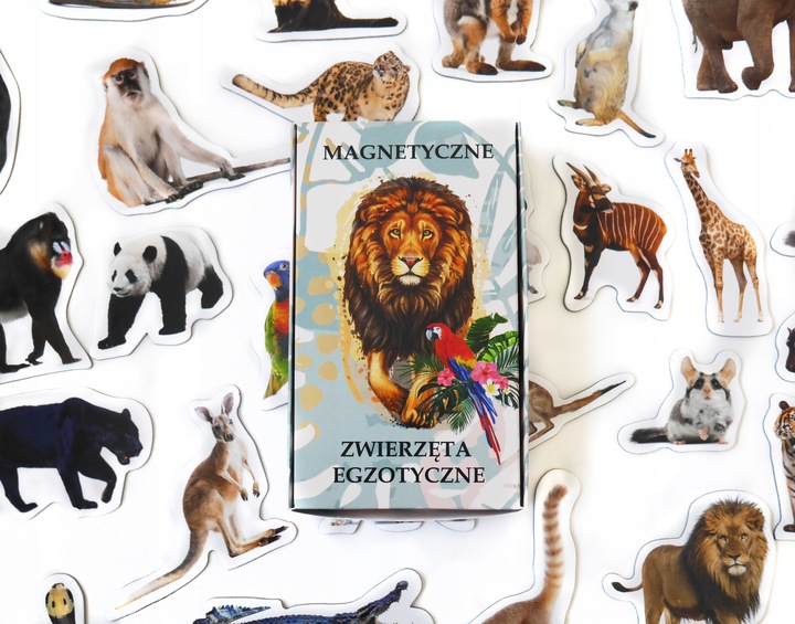 Magnesy na lodówkę poznaję  ZWIERZĘTA EGZOTYCZNE 28 el. Tektura