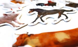 Magnesy na lodówkę poznaję ZWIERZĘTA FARMA 28 el. tektura