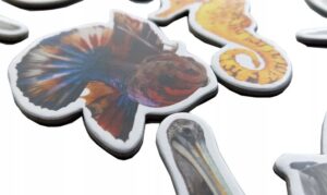 Magnesy na lodówkę poznaję ZWIERZĘTA WODNE 26 el. Tektura