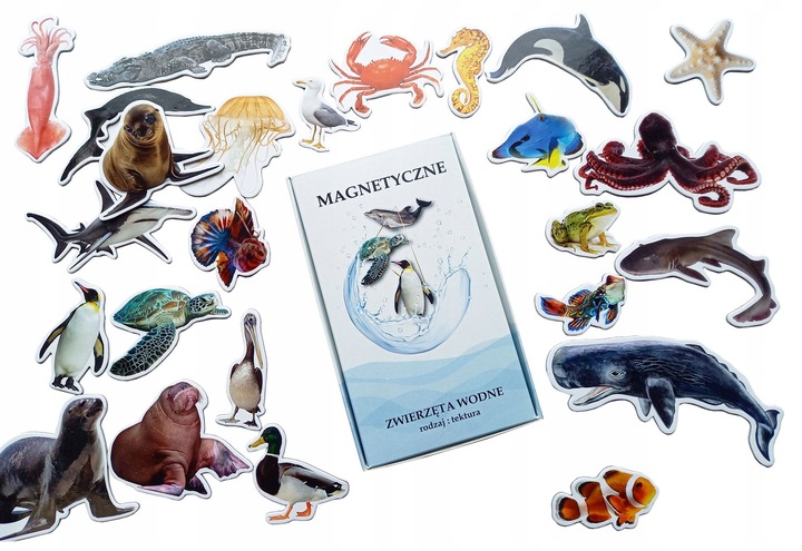 Magnesy na lodówkę poznaję ZWIERZĘTA WODNE 26 el. Tektura