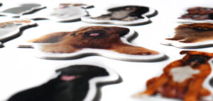 Magnesy na lodówkę poznaję  RASY PSÓW 30 el. Tektura