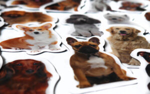 Magnesy na lodówkę poznaję RASY PSÓW 30 el. Płaskie