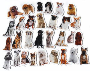 Magnesy na lodówkę poznaję  RASY PSÓW 30 el. Tektura