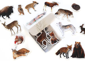 Magnesy na lodówę poznaję ZWIERZĘTA LEŚNE 28 el. Tektura
